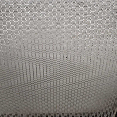 0.3mm hanno galvanizzato il metallo perforato Mesh Round/esagono per attrezzatura di filtrazione