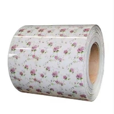 Bobina in acciaio PPGI da 0,44 mm con rivestimento colorato in alluminio e zinco per coperture