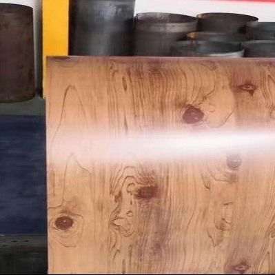 La decorazione 1000mm ha preverniciato la bobina d'acciaio galvanizzata CGLCH