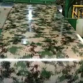 La decorazione CGCH che stampa il colore di PPGI le lamiere rivestite 800mm
